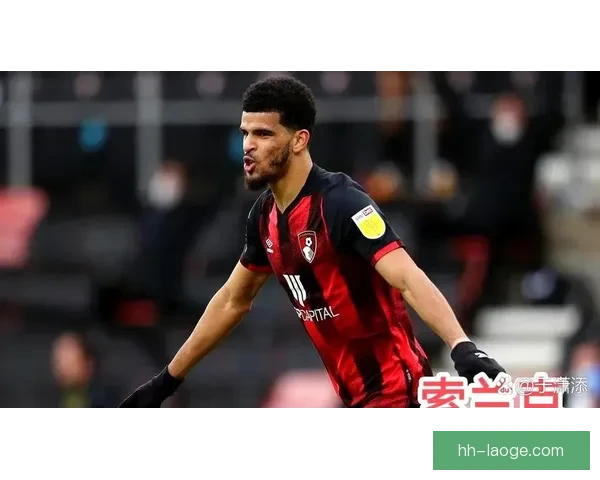 英超伯恩茅斯凭借出色战绩成功签署全新赞助协议
